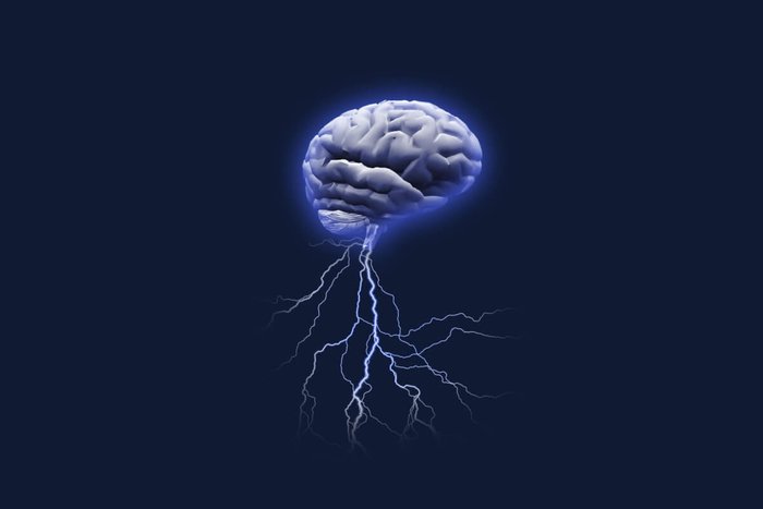 Bruce Rolff / Shutterstock | Portal EdiCase Bruce Rolff / Shutterstock | Portal EdiCase
