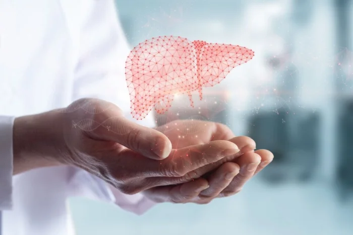 Natali _ Mis / Shutterstock | Portal EdiCase