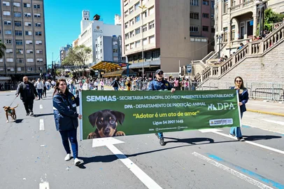 Ícaro de Campos / Divulgação Três animais do canil municipal de Caxias do Sul são adotados após o Desfile da Independência<!-- NICAID(16361324) -->