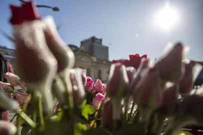 PORTO ALEGRE, RS, BRASIL - Os floristas que foram transferidos por causa da obra na Av. Otávio Rocha estão sem luz, água nem estrutura decente para atender as pessoas que queiram comprar flores para o Dia dos Namorados. Eles estão instalados provisóriamente no Largo Glênio Peres.Indexador: Jeff Botega<!-- NICAID(15121734) -->