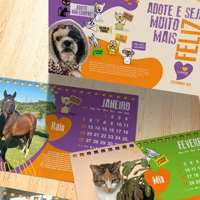 CAXIAS DO SUL, RS, BRASIL, 24/10/2024A Associação Amigos dos Animais (Soama) começou a vendas do calendário 2025. O layout é produzido pela Agência 42 de forma voluntária. Ao todo, o anuário conta com 14 histórias inspiradoras de adoção, o valor do produto é de R$ 10.Créditos: Soama / Divulgação<!-- NICAID(15897873) -->