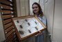 Ciência na prática: como museus e experiências estimulam o interesse de alunos por biologia, física e química