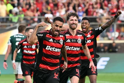 Luis ACOSTA / AFP Flamengo's defender #13 Danilo celebrates scoring his team's first goal during the all Brazilian Copa Libertadores final football match between Palmeiras and Flamengo at Monumental 'U' Marathon stadium in Lima on November 29, 2025. (Photo by Luis ACOSTA / AFP)Editoria: SPOLocal: LimaIndexador: LUIS ACOSTASecao: soccerFonte: AFPFotógrafo: STF<!-- NICAID(16177063) -->