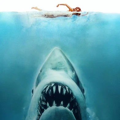 Tubarão (1975), de Steven Spielberg<!-- NICAID(16029980) -->