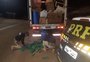 PRF apreende quase 70 quilos de maconha na BR-480, em Erechim