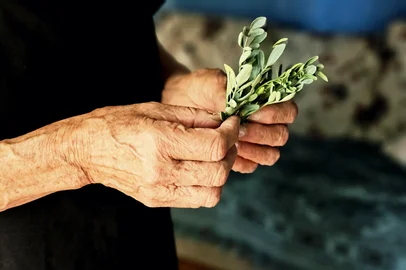 "Precursoras da medicina", benzedeiras resistem ao tempo<!-- NICAID(16200408) -->