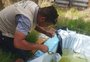 Agentes intensificam visitas domiciliares para conter avanço do Aedes aegypti em Rio Grande