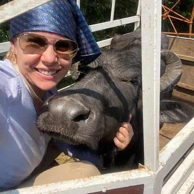 Resgate de búfalos. Fotos: Ascribu/DivulgaçãoNa foto a veterinária Desireé Mölle com búfala resgatada.<!-- NICAID(15764276) -->
