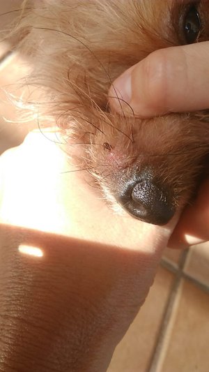 Arquivo Pessoal / Arquivo Pessoal