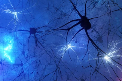 3d illustration of the activity of neurons and synapses. Neural connections in outer space, radioactivity, neurotransmitters, brain, axons. Electrical impulses transmitting signals. Mind concept.3d illustration of the activity of neurons and synapses. Neural connections in outer space, radioactivity, neurotransmitters, brain, axons. Electrical impulses transmitting signals. Mind concept.Fonte: 424806330<!-- NICAID(15398898) -->