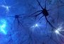 Estudo de pesquisadores da UFRGS e da França identifica uma possível causa neurobiológica da depressão