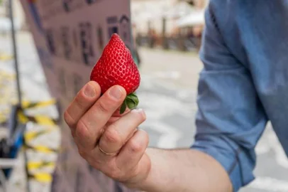 Feira do Morango<!-- NICAID(16142380) -->