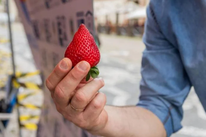 Volmer Perez / Divulgação / Prefeitura de Pelotas Volmer Perez / Divulgação / Prefeitura de Pelotas
