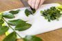 Female hands chopping ora-pro-nobis on cutting board. Pereskia aculeata is a popular vegetable in parts of BrazilFonte: 509400673<!-- NICAID(15676849) -->