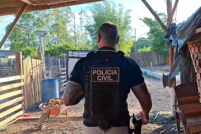Polícia Civil / Divulgação