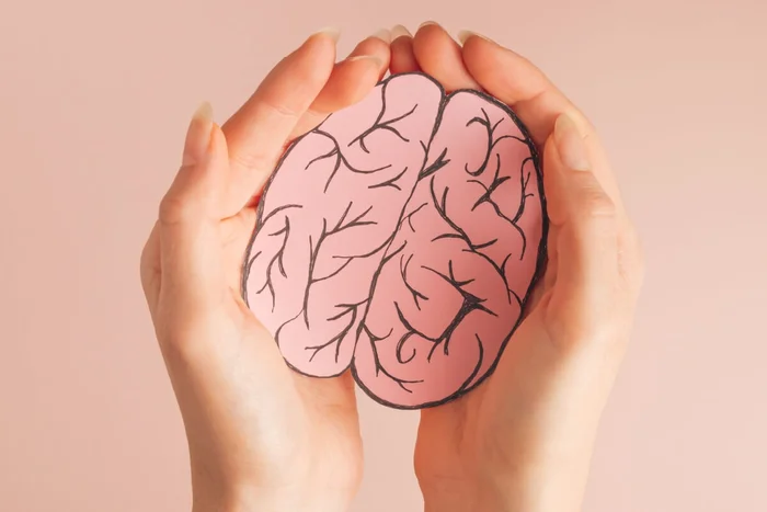 Svetlana Bulatovic / Shutterstock | Portal EdiCase