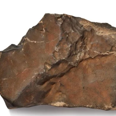 O maior fragmento de Marte já encontrado na Terra, um meteorito de 24,67 quilos identificado oficialmente pelo código NWA 16788, será leiloado pela Sothebys, em Nova York (EUA), no dia 16 de julho. A expectativa da casa de leilões é arrecadar até US$ 4 milhões (cerca de R$ 21,8 milhões) com o negócio.<!-- NICAID(16072290) -->