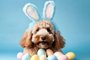 Cute dog in front of easter eggs and flowers.Cute dog in front of easter eggs and flowers. Ai generativeFonte: 576299567<!-- NICAID(15713427) -->