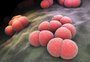 Por que é importante saber mais sobre a meningite?
