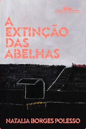 Reprodução / Divulgação