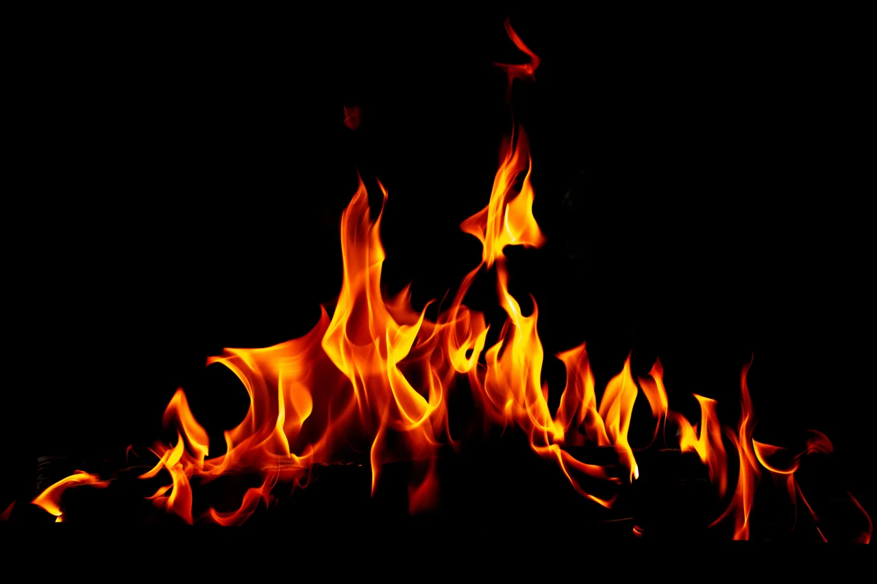 schankz/stock.adobe.com