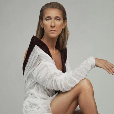 A cantora Céline Dion, que recentemente adiou shows por conta de problemas de saúde, não estaria conseguindo andar e sair da cama. Conforme o Uol, a informação foi revelada por um familiar da artista à revista Here. No final de outubro, Céline anunciou em suas redes sociais o cancelamento de apresentações que faria em Las Vegas, nos Estados Unidos, em novembro. Segundo esclarecimentos prestados pela equipe da cantora, ela está sofrendo com "espasmos musculares graves e persistentes".  <!-- NICAID(14931838) -->