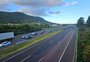 Homem morre após ser atacado por abelhas na freeway