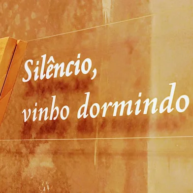 Casa Valduga - templo onde cerca de 500 barricas de vinho "ouvem" canto gregoriano.<!-- NICAID(15634272) -->