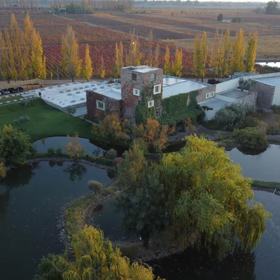 O Miolo Wine Group, do Vale dos Vinhedos, anunciou nesta quinta-feira (12) a compra de uma vinícola na Argentina. O grupo da Serra adquiriu a Bodega Renacer, localizada em Luján de Cuyo, em Mendoza, aos pés das Cordilheiras dos Andes. O valor do negócio não é informado por um acordo entre as partes.<!-- NICAID(15934666) -->