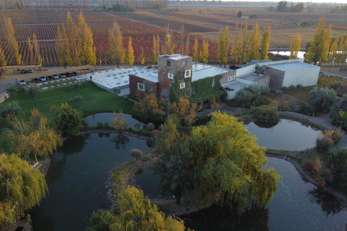 Miolo Wine Group / Divulgação