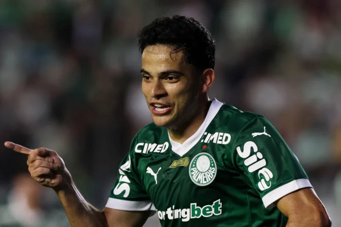 Cesar Greco / Palmeiras,Divulgação