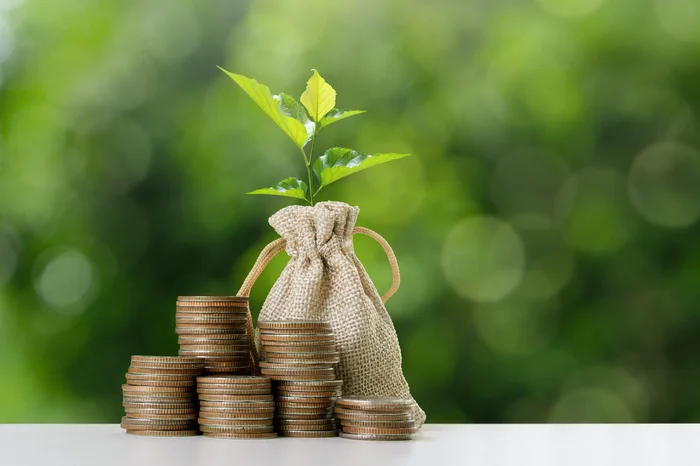 Dee karen / stock.adobe.com