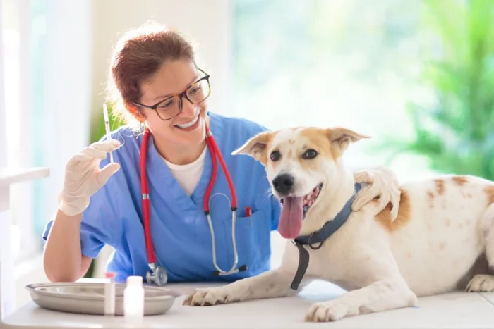 FamVeld / Shutterstock | Portal EdiCase