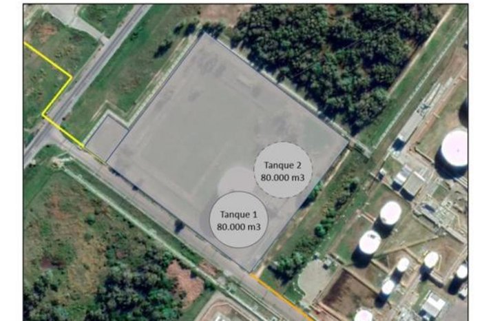 Cobra / Reprodução