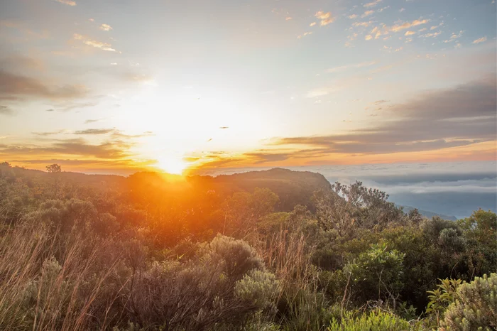 José Junior / Divulgação
