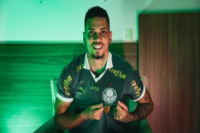Paulinho, Palmeiras, futebol