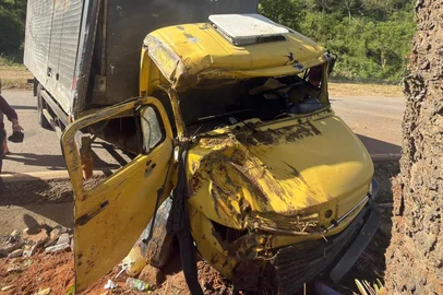 Serviço Civil Auxiliar de Bombeiros de Antônio Prado / Divulgação Dois homens ficam feridas após caminhão colidir contra árvore em Antônio Prado<!-- NICAID(16170104) -->
