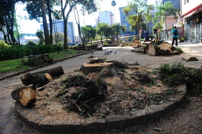 CAXIAS DO SUL, RS, BRASIL, 23/05/2023. Matéria sobre manutenção, limpeza e cuidados que a prefeitura tem com a praças, ou a falta deles. Imagens gerais da Praça da Bandeira. Na foto, árvores que foram cortadas. (Porthus Junior/Agência RBS)<!-- NICAID(15436036) -->