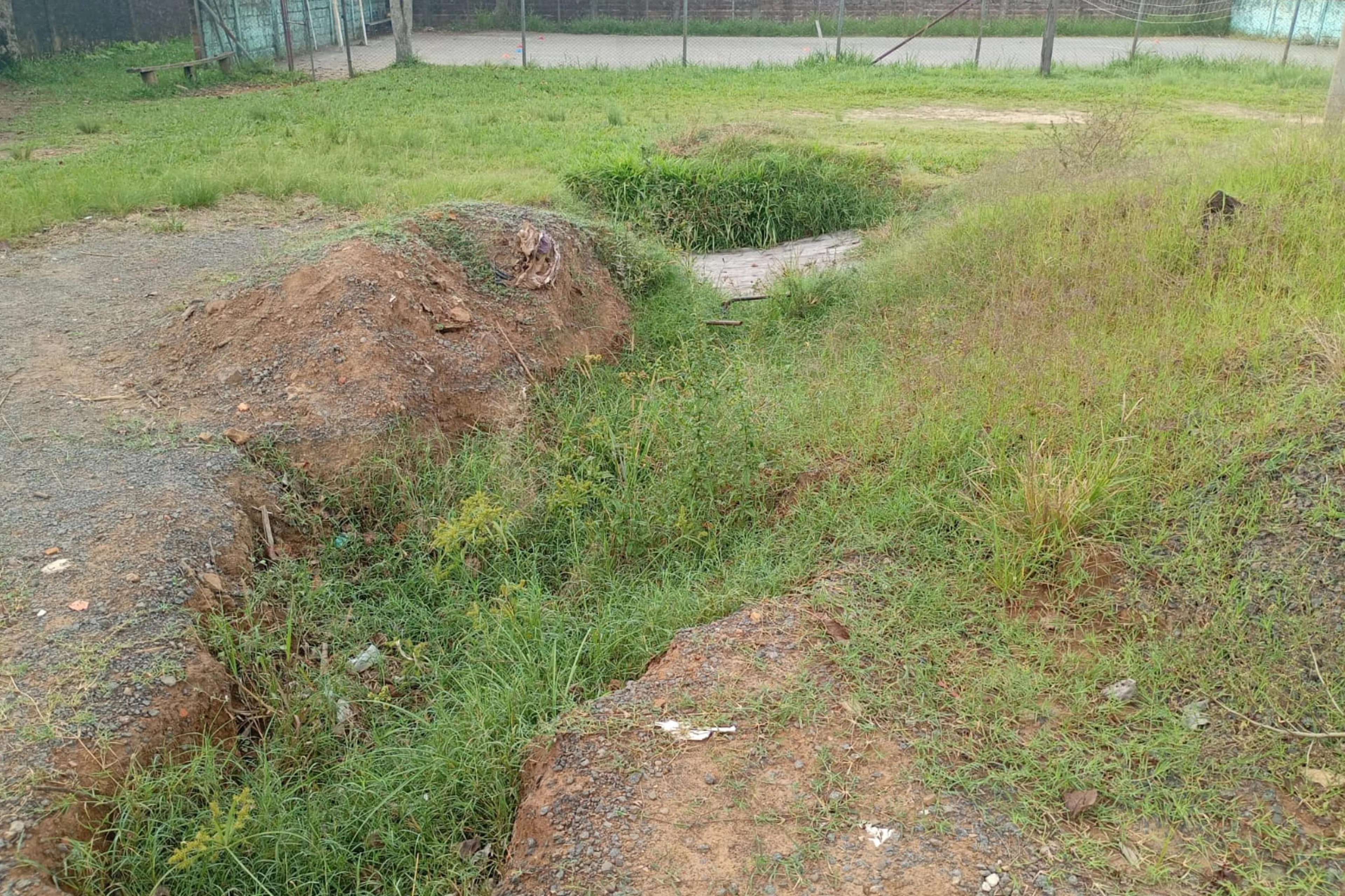 Clarissa Rodrigues/Arquivo pessoal