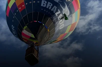 Passeio de balão é uma das atrações de festival em Bento Gonçalves<!-- NICAID(15555460) -->