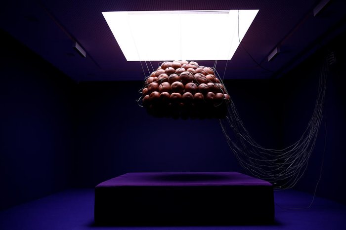 Jonathan Heckler / Agencia RBS