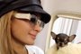 Modelo, atriz e socialite Paris Hilton, 41, com sua cadela Diamond Baby, da raça chihuahua.<!-- NICAID(15212151) -->