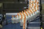 FARROUPILHA, RS, BRASIL, 04/10/2023. Fazenda de Farroupilha lança linha de produtos A2A2. São leites, iogurtes e cremes de leite de fácil digestão. (Bruno Todeschini/Agência RBS)Indexador: BTK<!-- NICAID(15559537) -->