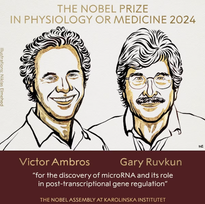 Nobelprize_org / Reprodução/Instagram Nobelprize_org / Reprodução/Instagram
