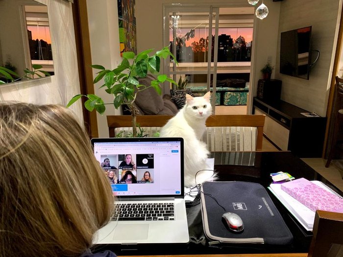 Fabrício Ramos / Divulgação Fabrício Ramos / Divulgação