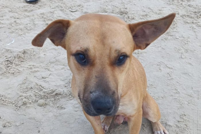 Daisy Vivian / Arquivo Pessoal