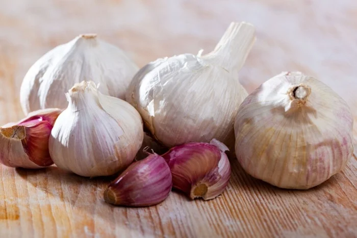 BearFotos / Shutterstock | Portal EdiCase