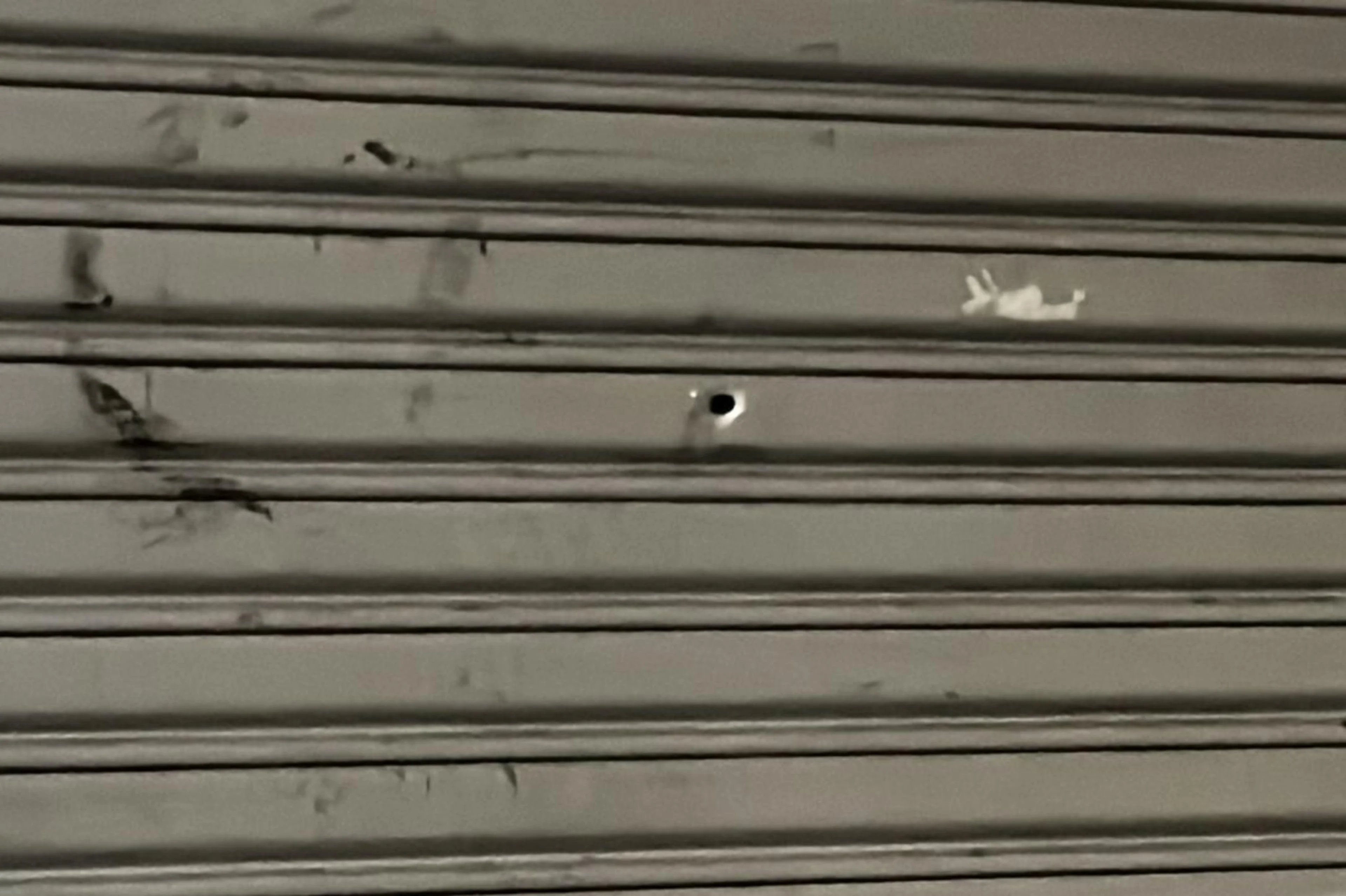 Marcos Pacheco/RBS TV