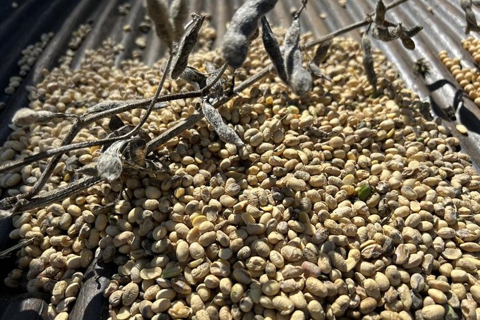 Tamires Hanke / Agencia RBS Tamires Hanke / Agencia RBS