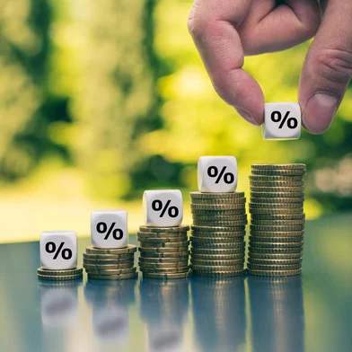 Investimento, lucro, rendimento, dinheiro. Foto:  Fokussiert  / stock.adobe.comIndexador: Frank HarmsFonte: 300214522Fotógrafo: Percentage signs on increasing h<!-- NICAID(14896162) -->